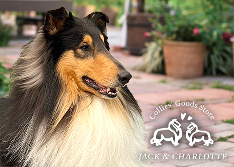 Collies Goods Store Jack and Charlotte